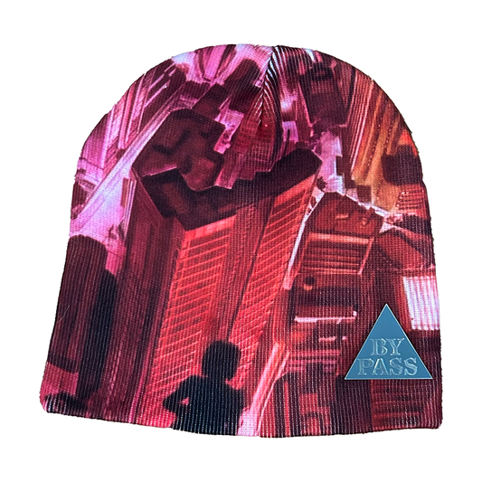 Vantage Point Beanie + Pin